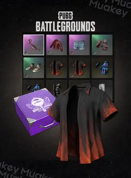 PUBG PC: Rương may mắn CHICKEN DINNER BOOSTER PACK CDKEY