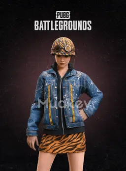 PUBG PC: STRIPED SURVIVOR SET CDKey