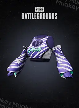 PUBG PC: 17shou's Beast Top 600 Gcoin Ingame