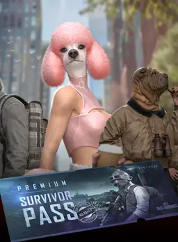 PUPG PC Survivor Pass: Urban Animals Steam Wallet 5 USD