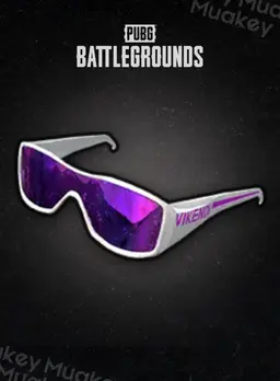 PUBG PC:  Snow Glasses CDKey