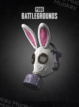 PUBG PC: Bunny Academy Hazard Mask CDKEY