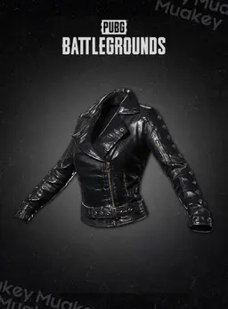 PUBG PC: Cat Burglar Jacket CDKEY
