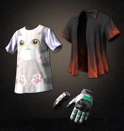 PUBG: CUTE CAT + FLAME SHIRT SET CDKey