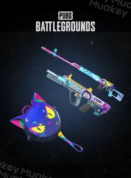 PUBG PC : AIXLEFT'S GAMING CAT WEAPON SET CDKey