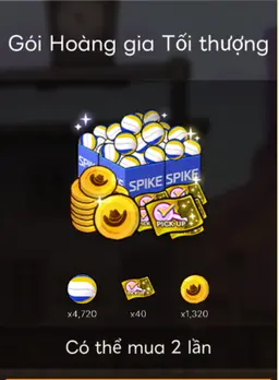 Gói Hoàng Gia Tối Thượng 78$ The Spike Cross Login
