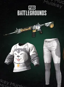 PUBG: THOMAS' SET CDKEY