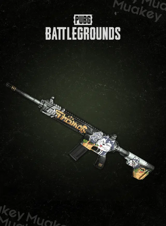 PUBG PC :  Thomas' M416 CDKey