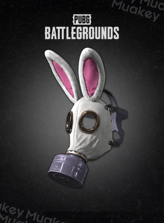 PUBG PC: Bunny Academy Hazard Mask CDKEY