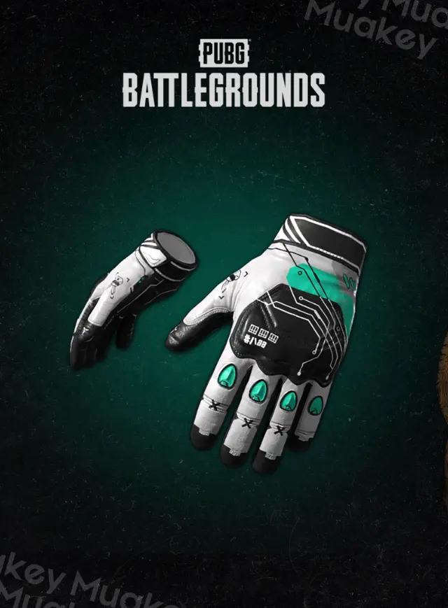 PUBG: CYBER RABBIT GLOVES CDKEY
