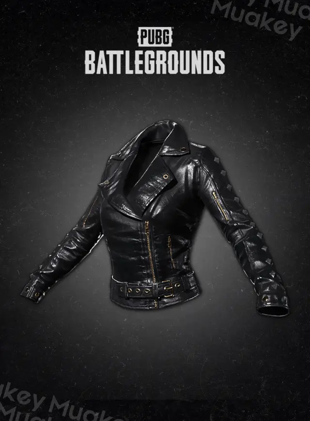 PUBG PC: Cat Burglar Jacket CDKEY
