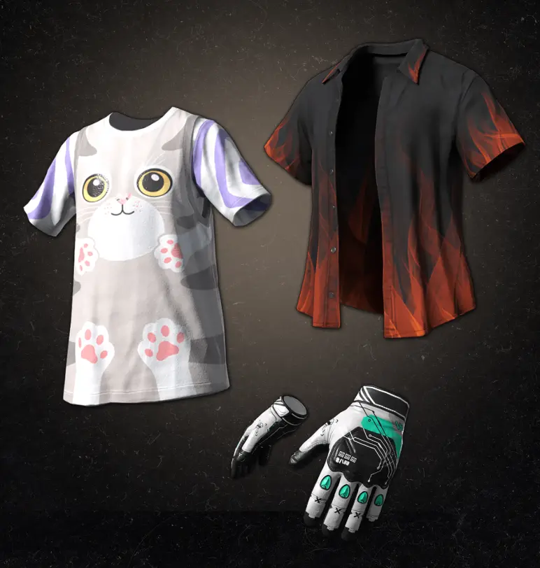 PUBG: CUTE CAT + FLAME SHIRT SET CDKey