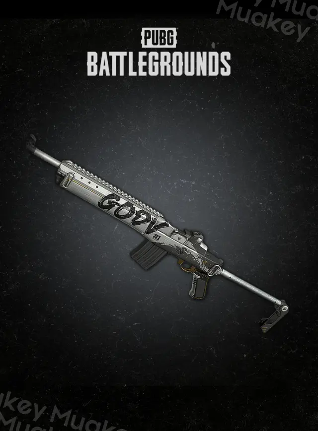 PUBG PC: GodV's Mini14CDKey