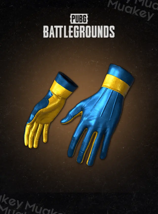 PUBG PC: Ohm's Gloves CDKey