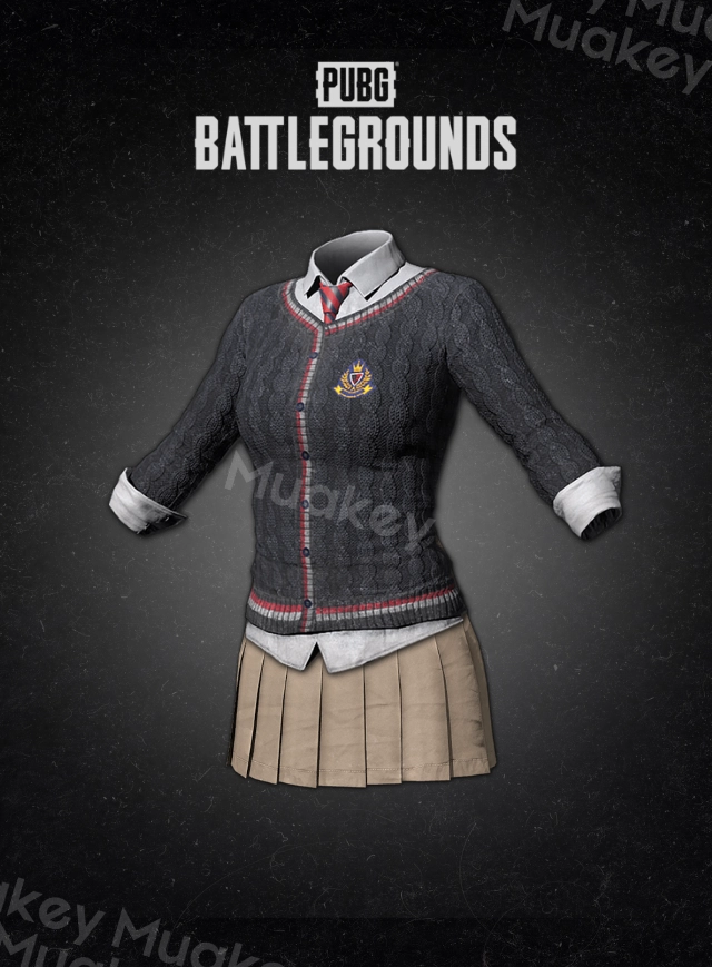 PUBG PC: ACADEMIA SET CDKEY