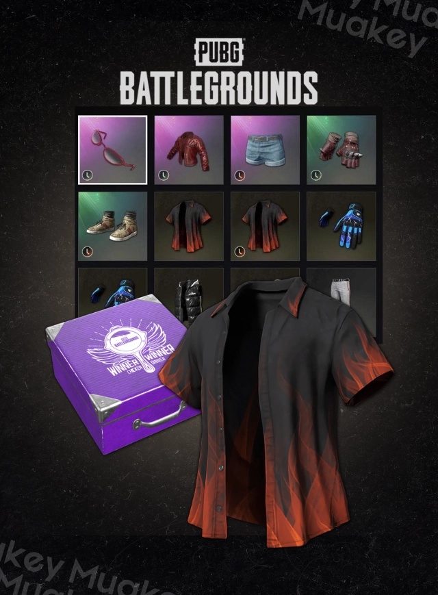 PUBG PC: Rương may mắn CHICKEN DINNER BOOSTER PACK CDKEY