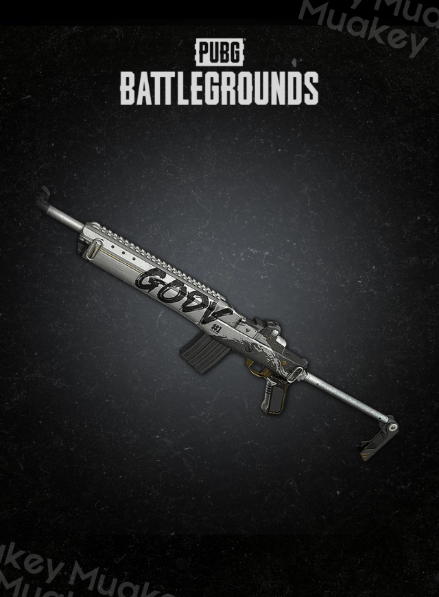 PUBG PC: GodV's Mini14CDKey