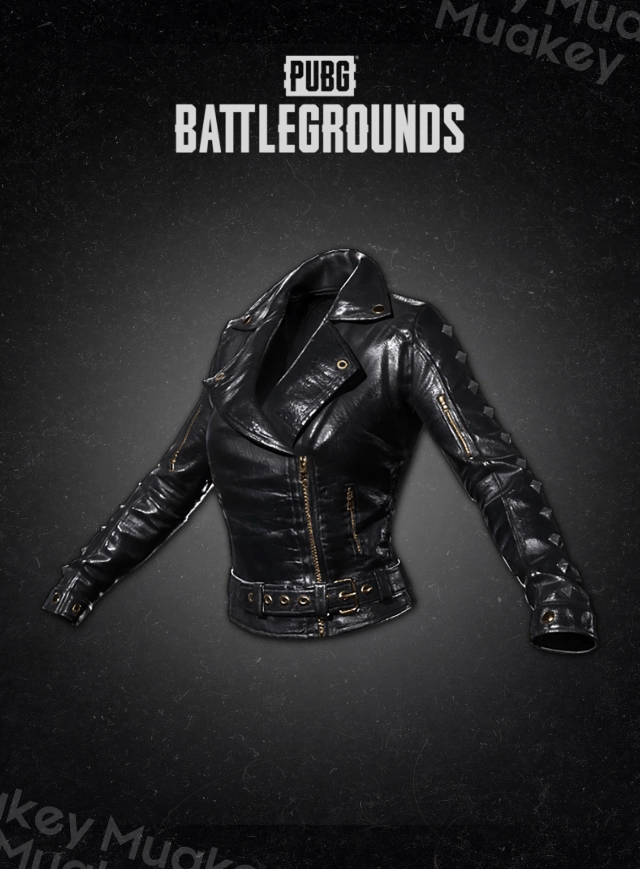 PUBG PC: Cat Burglar Jacket CDKEY