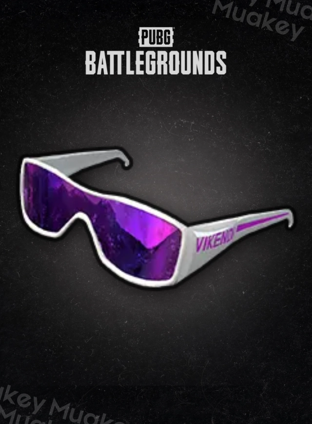 PUBG PC: Snow Glasses CDKey