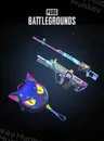 PUBG PC : AIXLEFT'S GAMING CAT WEAPON SET CDKey