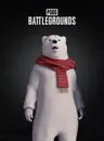 PUBG PC: POLAR BEAR SET CDKey